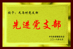 党支部镭射牌