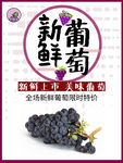 新鲜葡萄