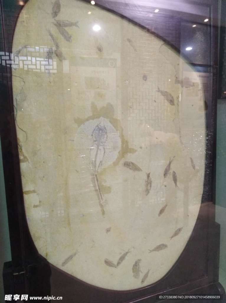 稀缺的玉石