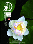 汽车节气 节气海报 节气 处暑