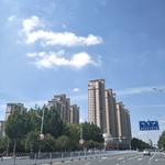 城市