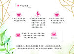 玫瑰花茶泡水说明