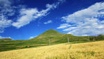 西藏草原风景