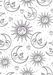 月亮 太阳