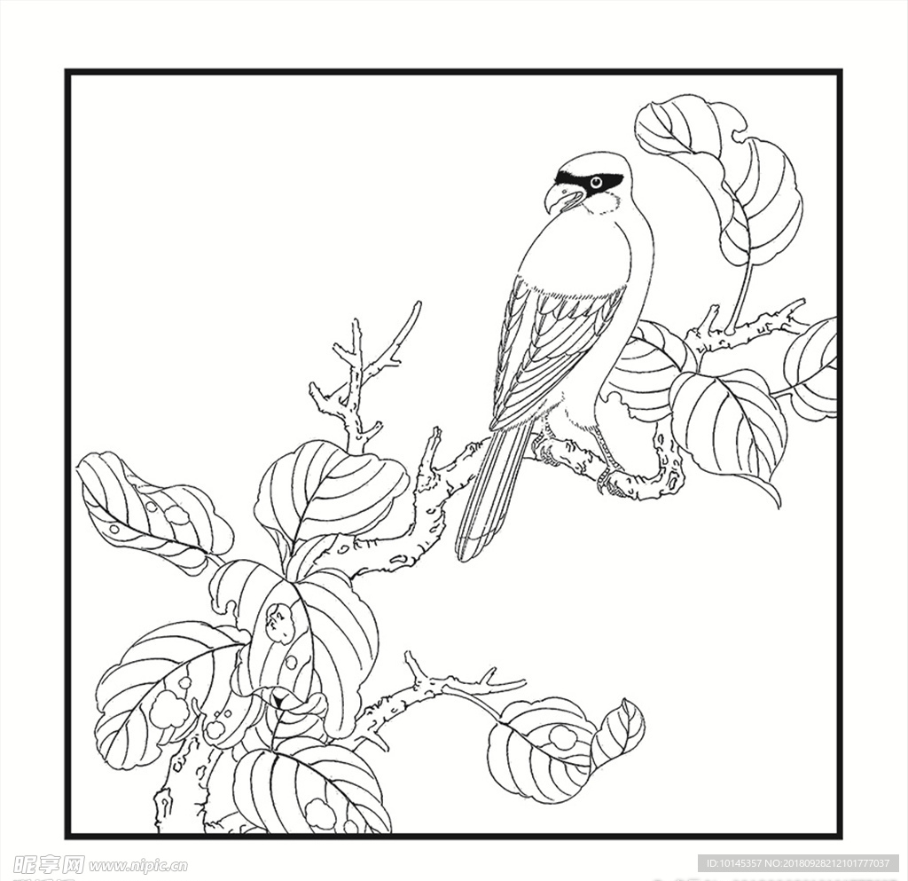 花鸟