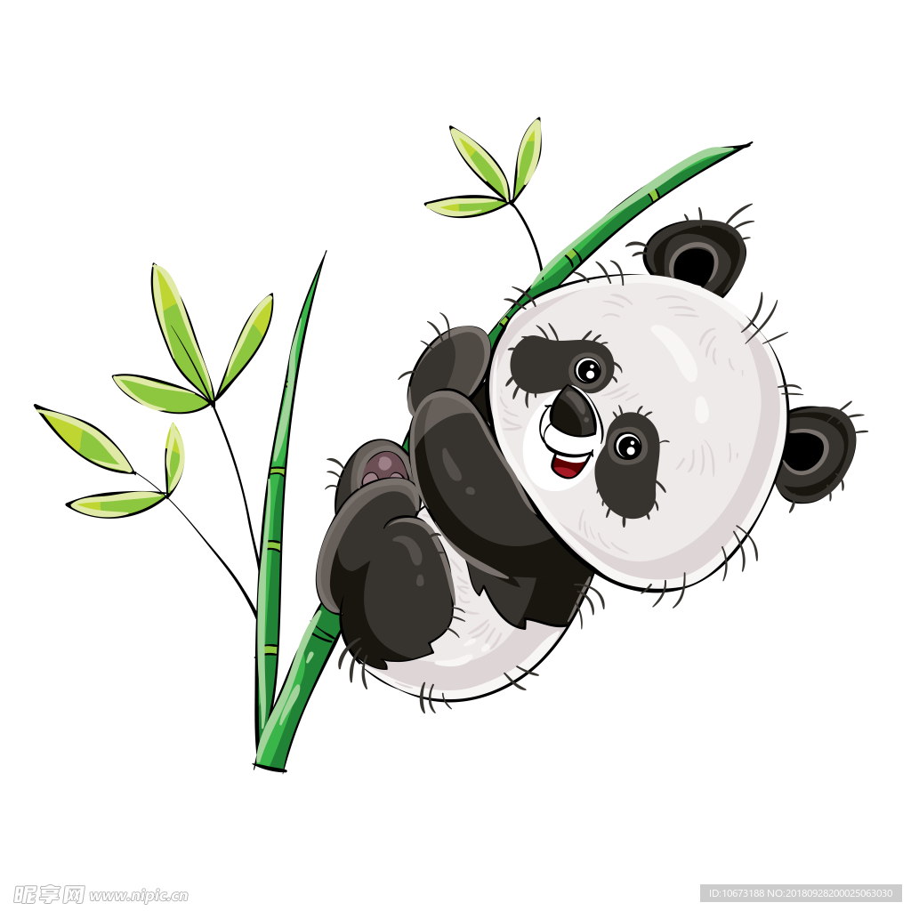 透明底熊猫