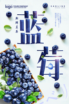 蓝莓海报