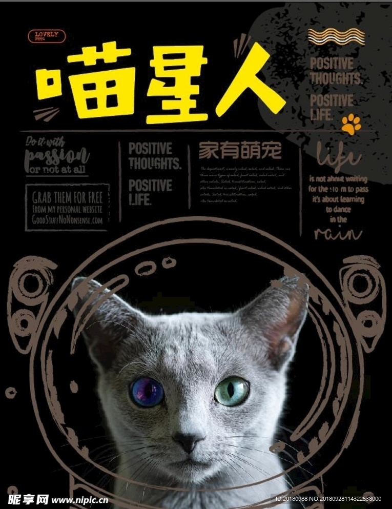 喵星人