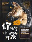 宠物猫