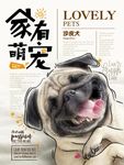 狗狗海报
