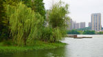 湖畔风貌