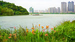 湖畔风景