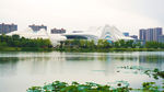 湖畔风景