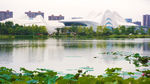 湖畔风景