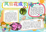 植物小报