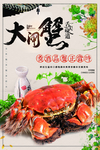 大闸蟹PSD分层