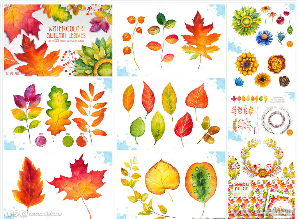秋季树叶水彩画 秋叶印花图案
