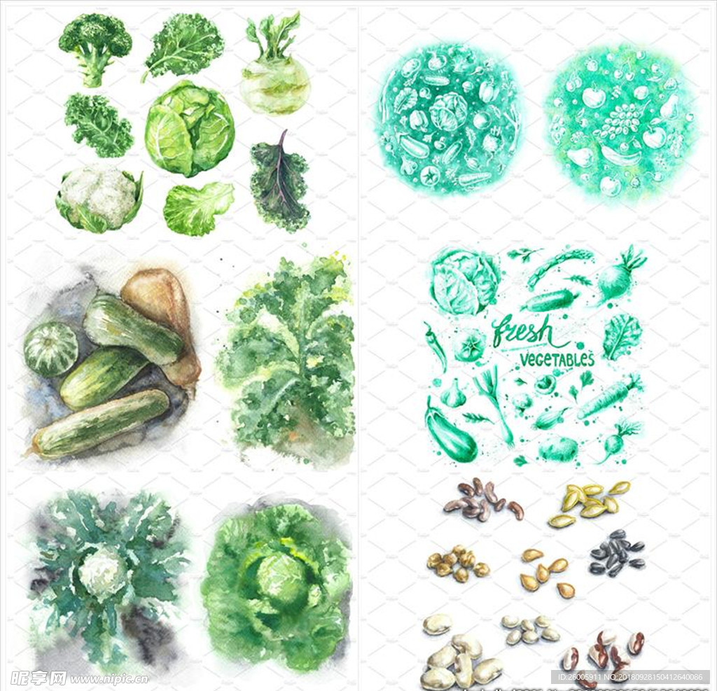 蔬菜水彩画 手绘蔬菜