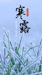 寒露