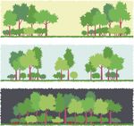 小树林 树木 大树矢量图