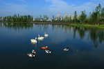 观音湖湿地公园