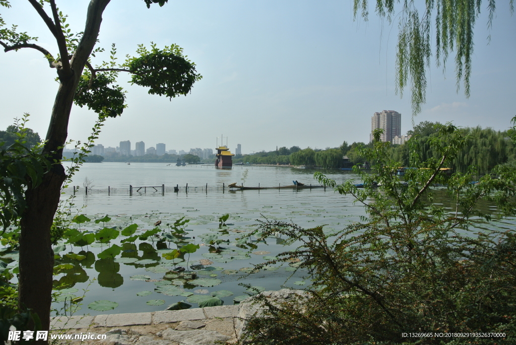 大明湖  济南大明湖   济南