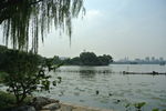 大明湖  济南大明湖   济南