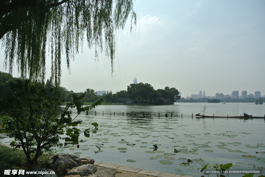 大明湖  济南大明湖   济南