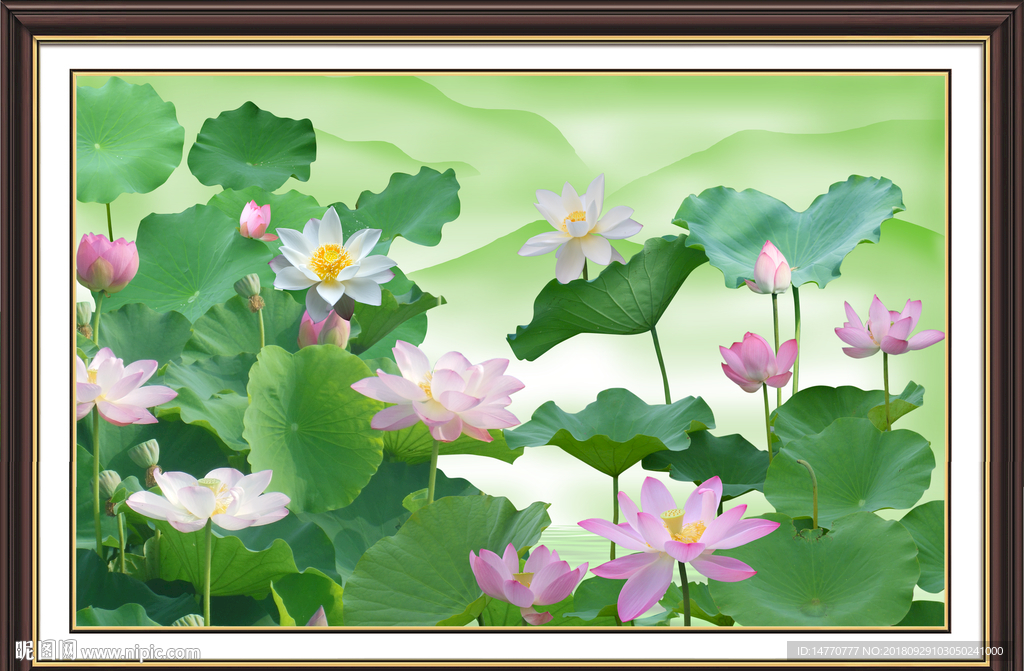 荷花壁画