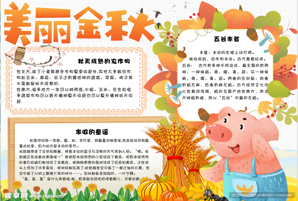 秋天小报