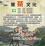 黑茶文化