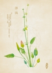 中药