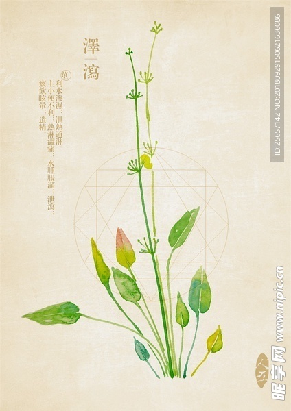 中药