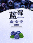 蓝莓展板