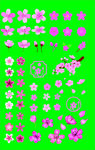 花朵素材