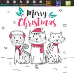 猫