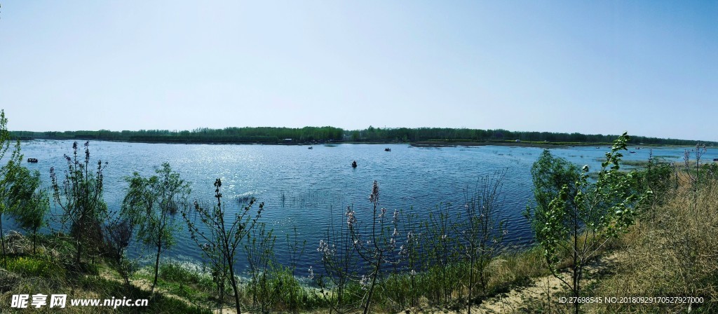 黄河故道风景图