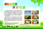 牧业 草原 绿色