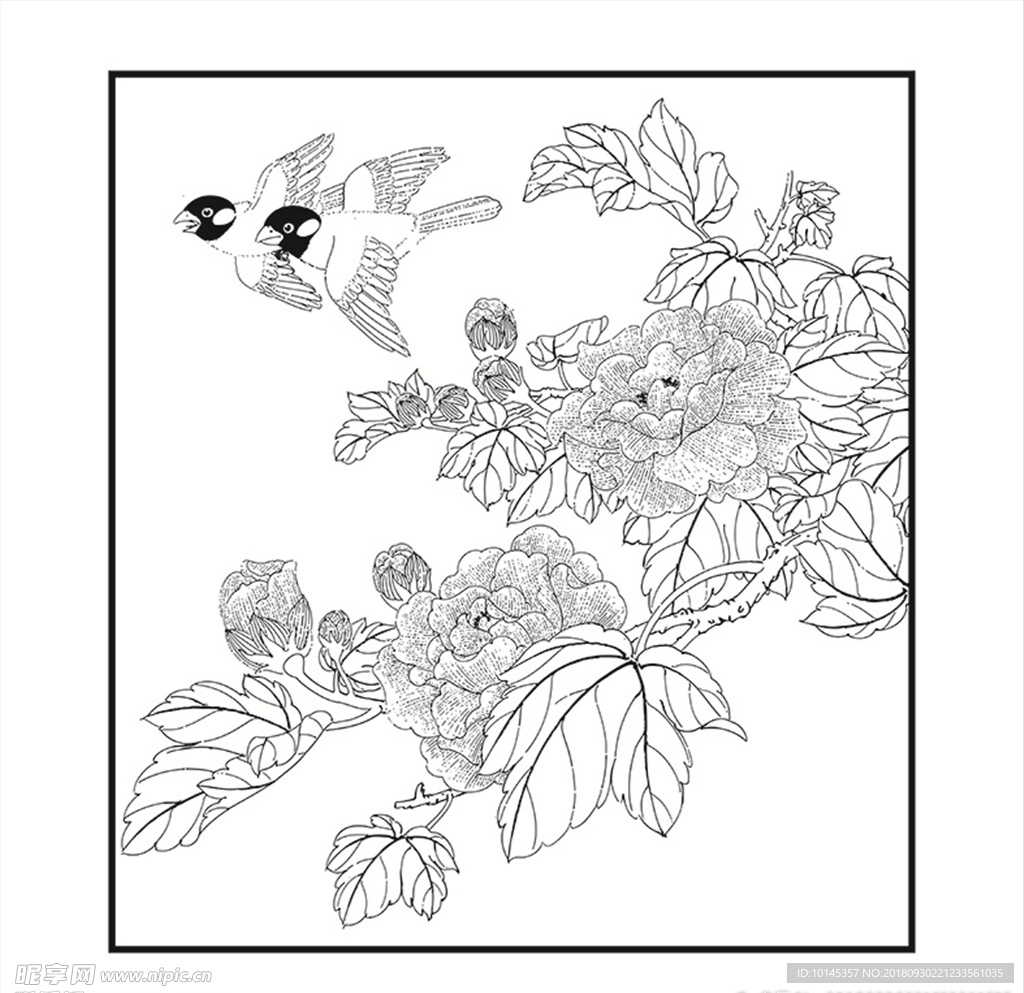 花鸟