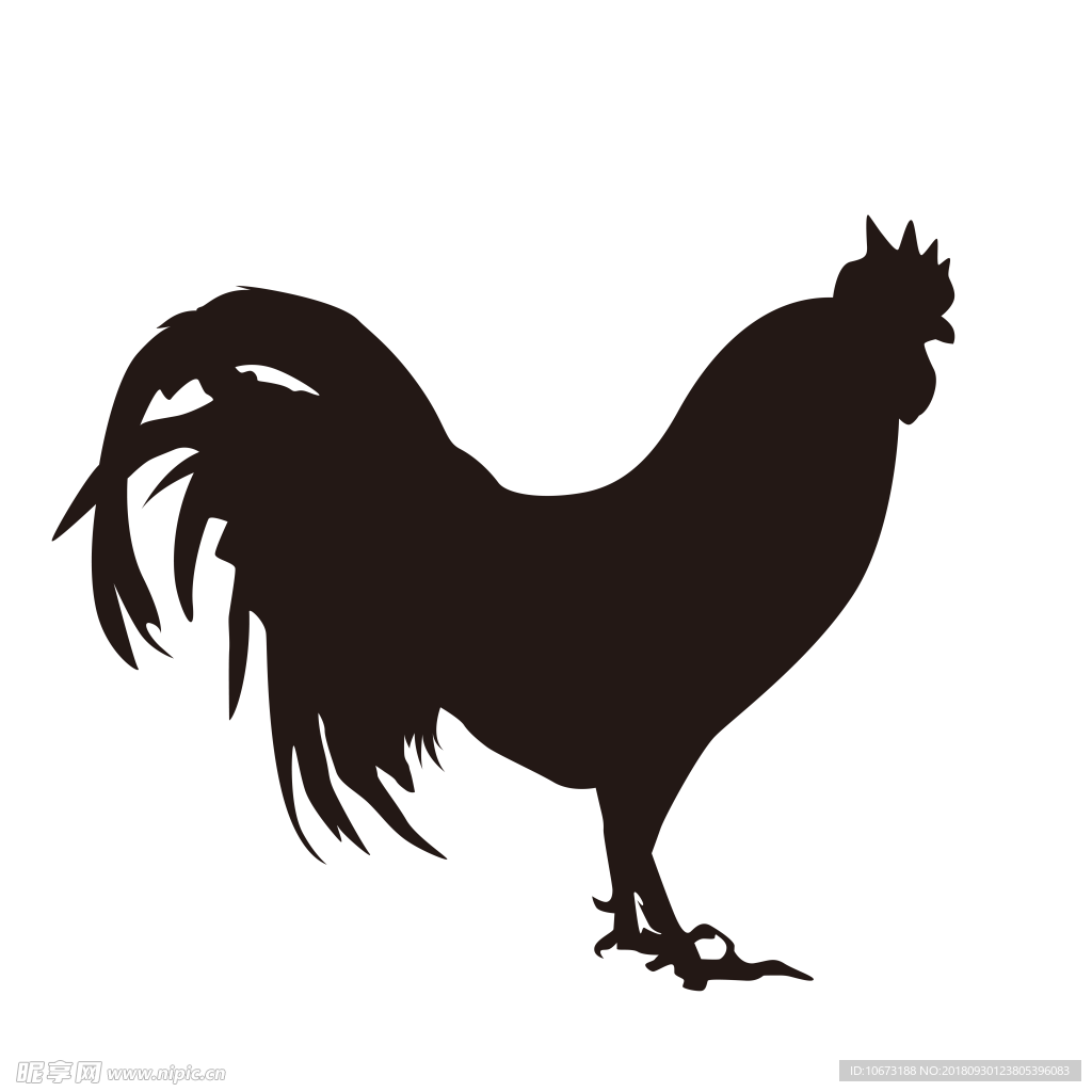 卡通鸡相关