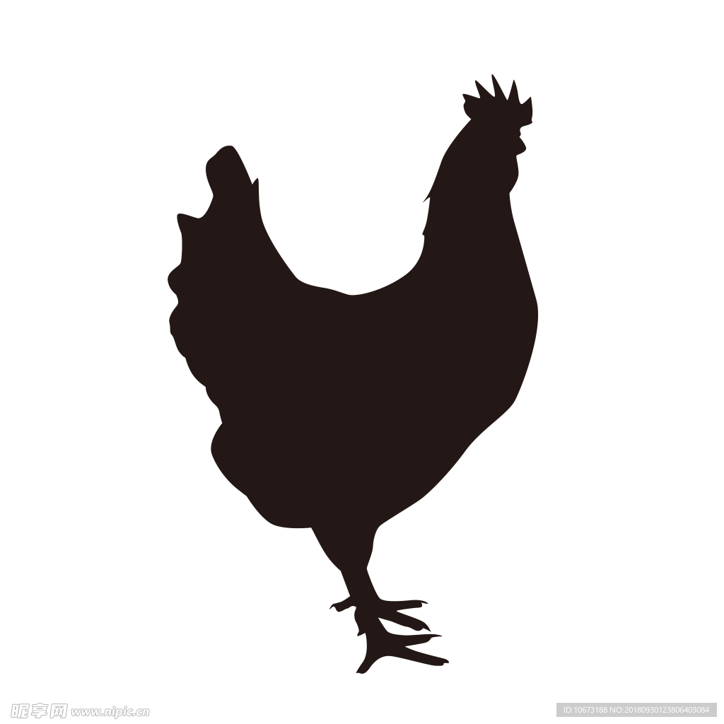 卡通鸡相关