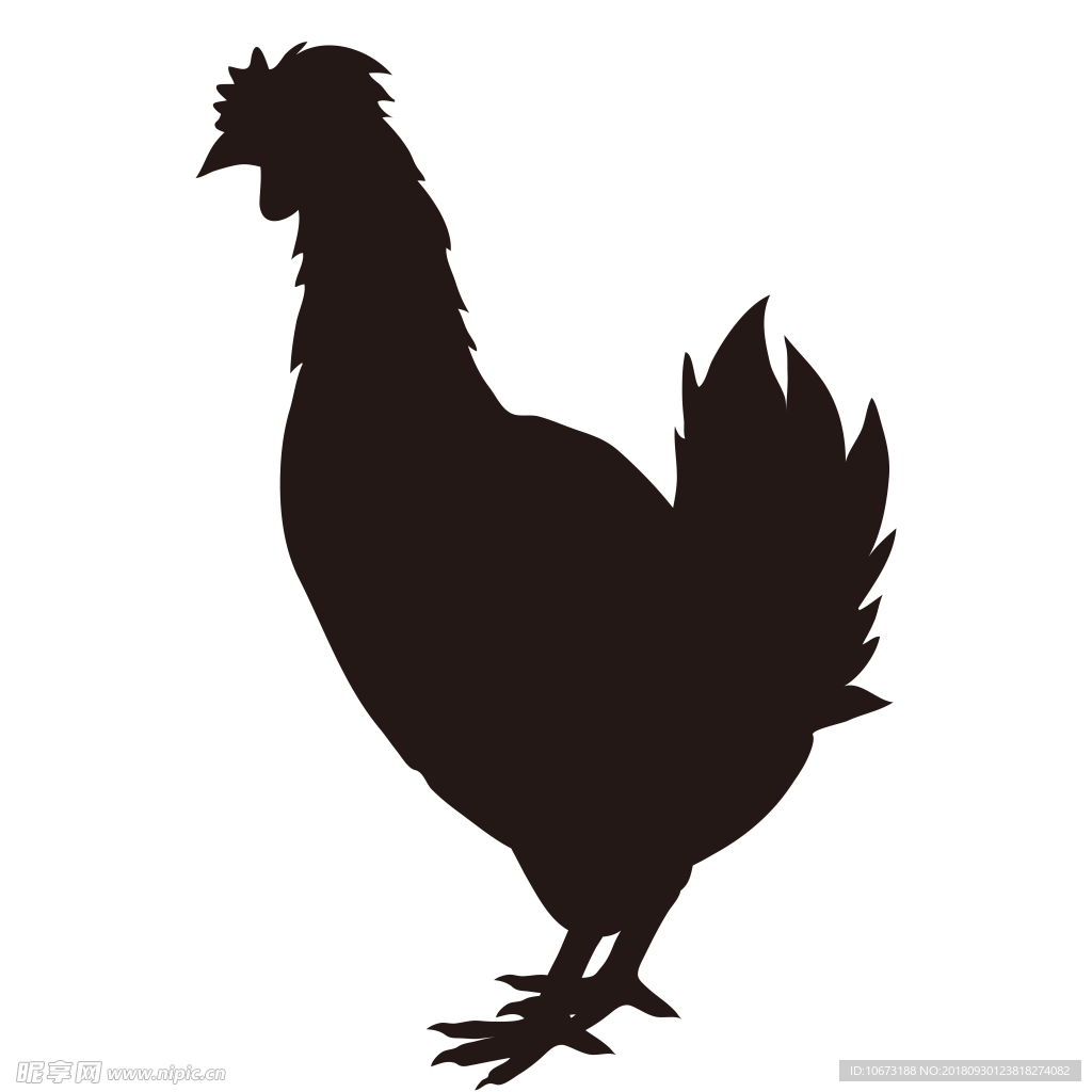 卡通鸡相关