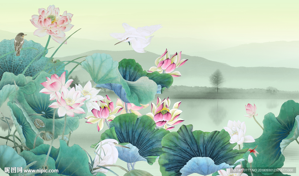 国画荷花