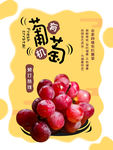 葡萄展板