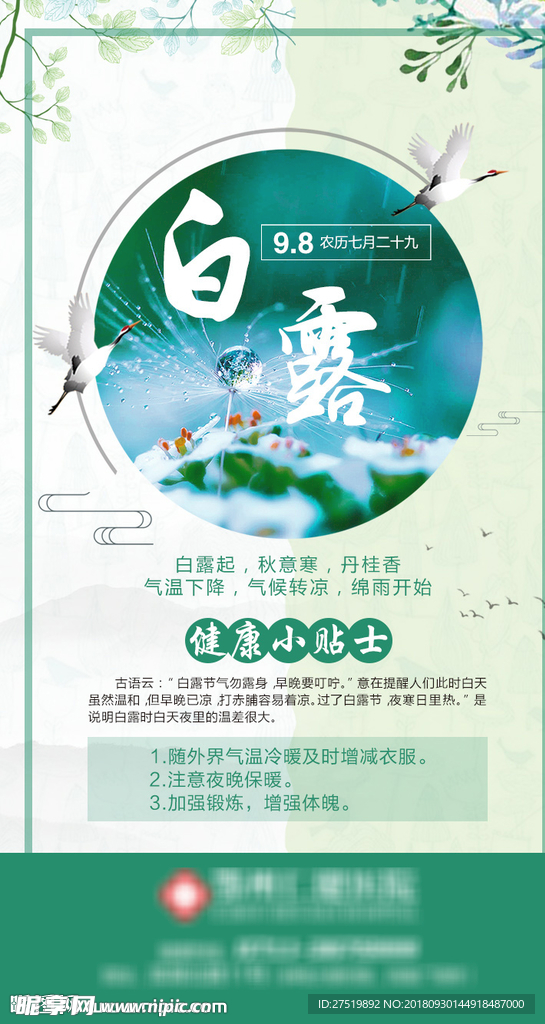 白露宣传海报