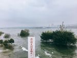大坝