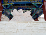鸳鸯