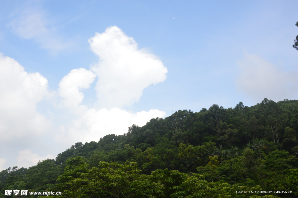 观音寺山