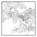花鸟