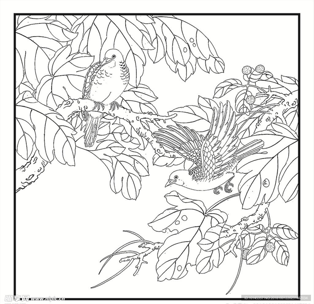 花鸟